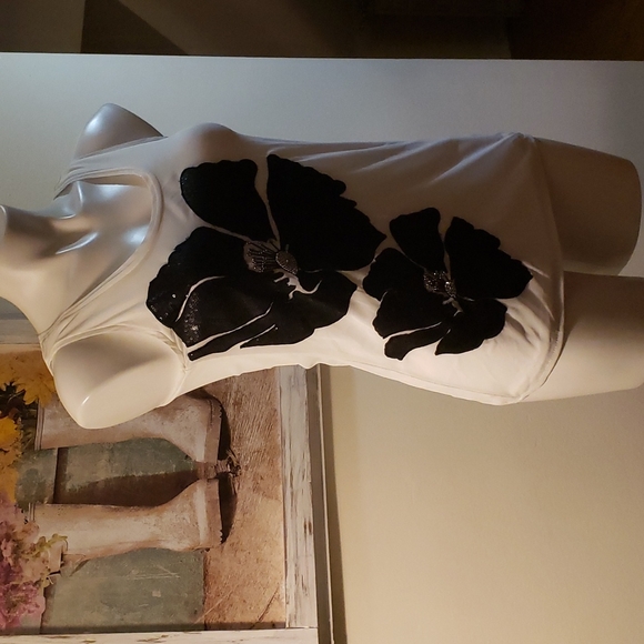 WHBM Tank - Picture 4 of 8